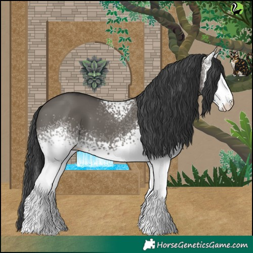 Horse Color:White Spotted Grullo 