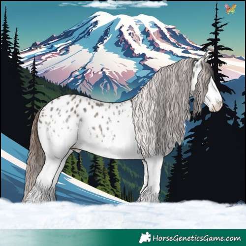 Horse Color:White Spotted Grullo Near Leopard 