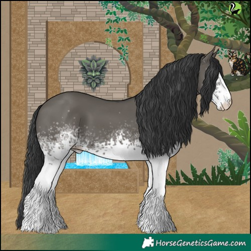 Horse Color:White Spotted Grullo 