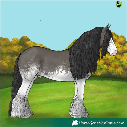 Horse Color:White Spotted Grullo 