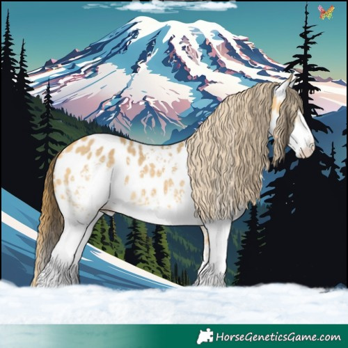 Horse Color:White Spotted Buckskin Dun Appaloosa 