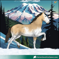 Horse Color:White Spotted Buckskin Dun Tobiano 