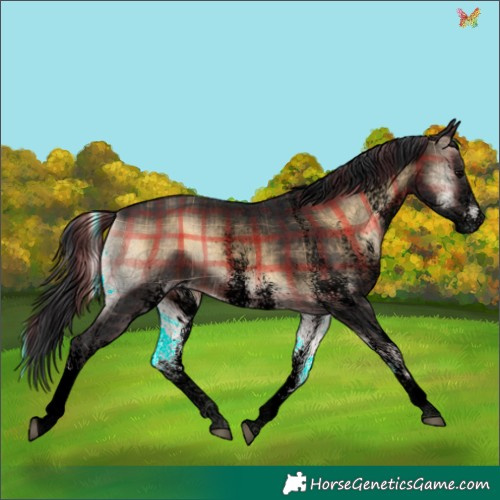 Horse Color:Void Plaid  White Spotted Brown Onyx 