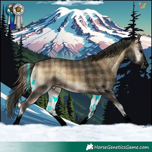 Horse Color:Void Plaid  White Spotted Bay Onyx 