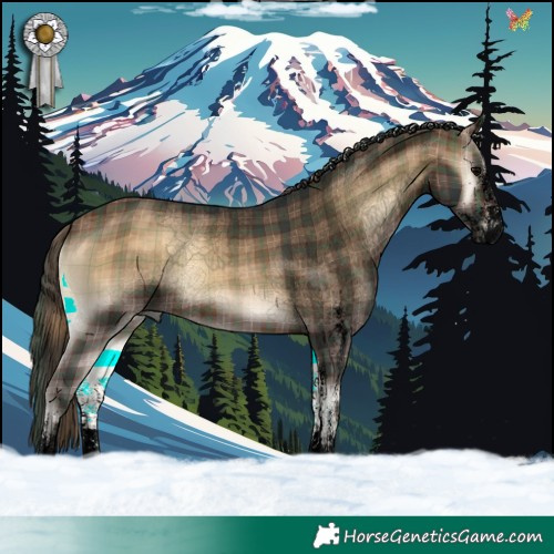 Horse Color:Void Plaid  White Spotted Bay Onyx 