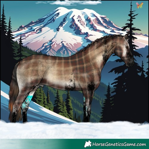 Horse Color:Void Plaid  White Spotted Liver Red Onyx 