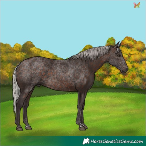 Horse Color:Silver Bay 