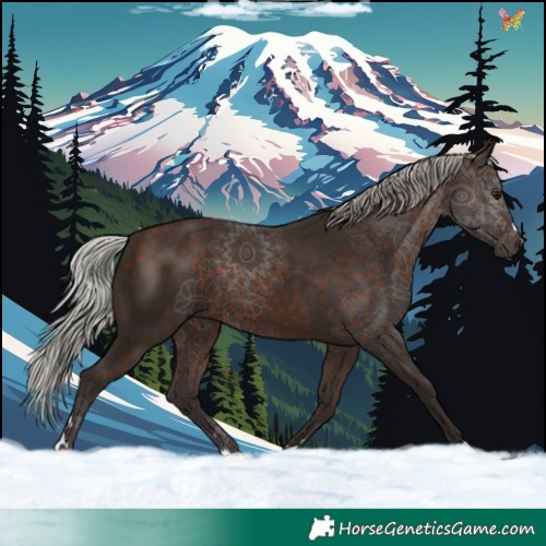 Horse Color:Silver Bay 