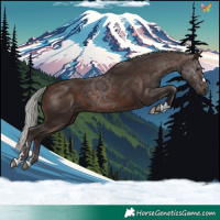 Horse Color:Silver Bay