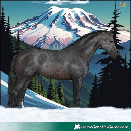 Horse Color:Brown 