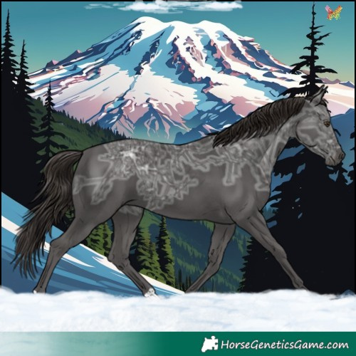 Horse Color:Liver Chestnut Ice 