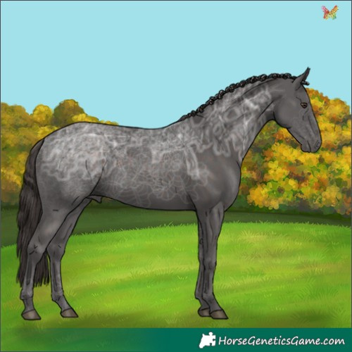 Horse Color:Liver Chestnut Ice 