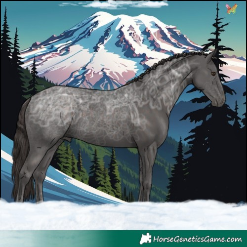 Horse Color:Liver Chestnut Ice 
