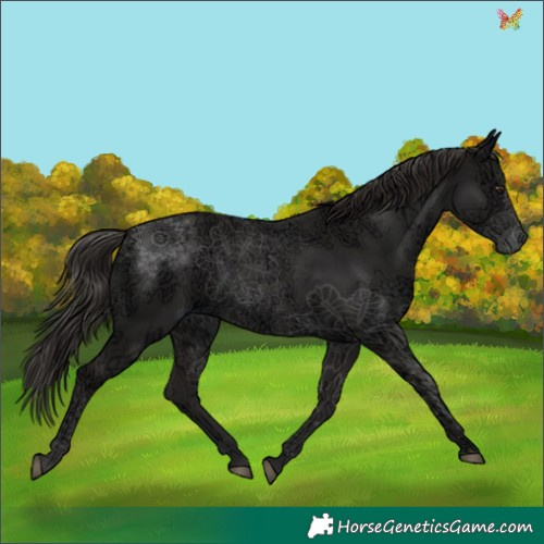 Horse Color:Liver Chestnut Ice 