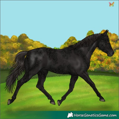 Horse Color:Liver Chestnut Ice 