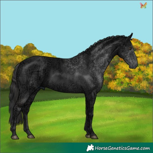 Horse Color:Liver Chestnut Ice 