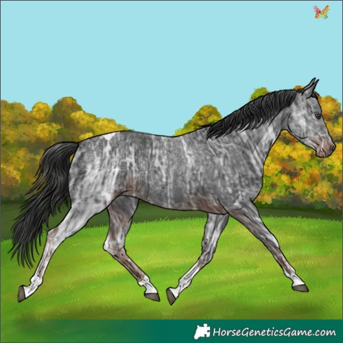 Horse Color:Liver Chestnut Ice Tobiano 