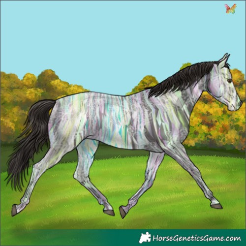 Horse Color:Liver Chestnut Ice 