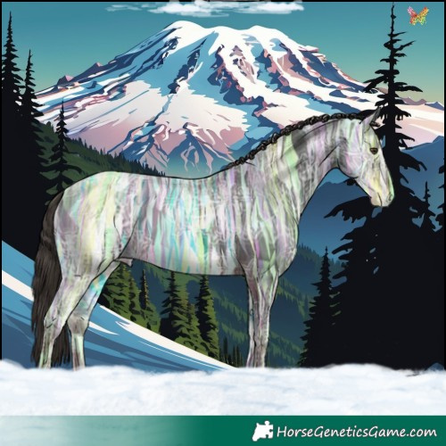 Horse Color:Liver Chestnut Ice 