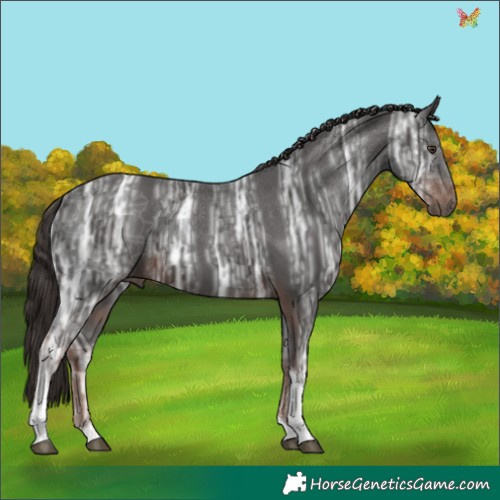 Horse Color:Liver Chestnut Ice Tobiano 