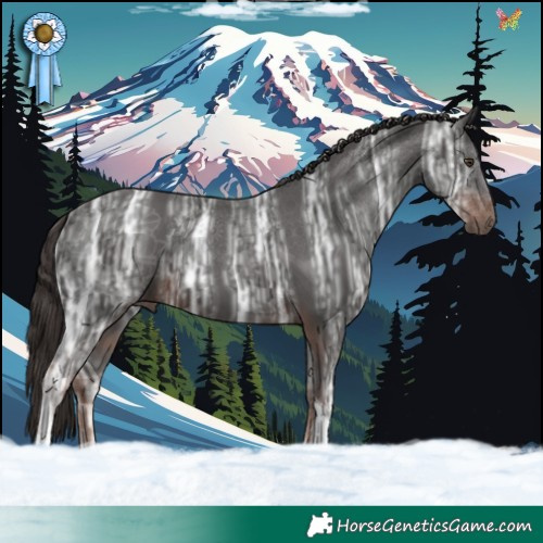 Horse Color:Liver Chestnut Ice Tobiano 