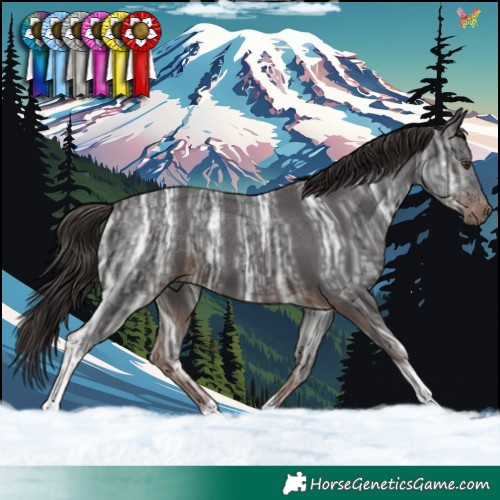 Horse Color:Liver Chestnut Ice Tobiano 