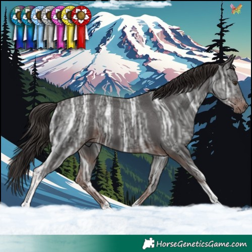 Horse Color:Liver Chestnut Ice Tobiano 