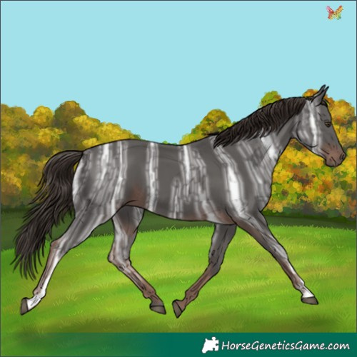 Horse Color:Liver Chestnut Ice 