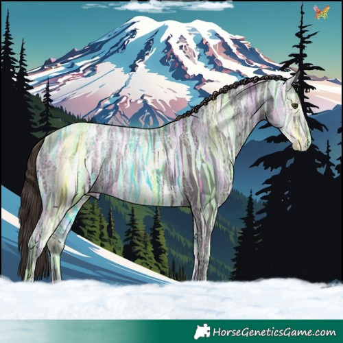 Horse Color:Liver Chestnut Ice 
