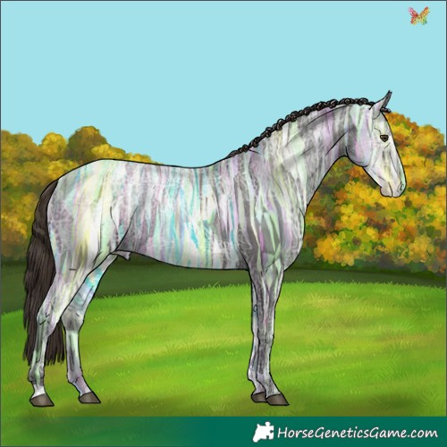 Horse Color:Liver Chestnut Ice 