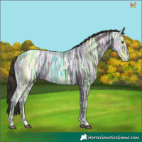 Horse Color:Liver Chestnut Ice Tobiano 