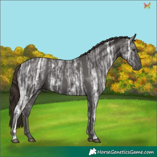 Horse Color:Liver Chestnut Ice 
