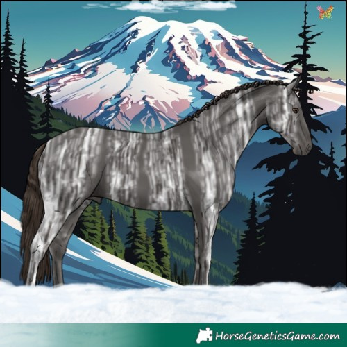 Horse Color:Liver Chestnut Ice 
