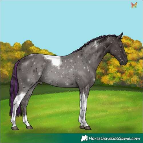 Horse Color:Painted Liver Chestnut Tobiano 