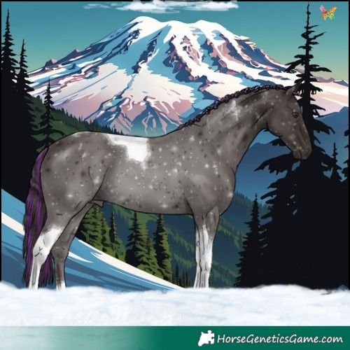 Horse Color:Painted Liver Chestnut Tobiano 