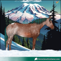 Horse Color:Painted Chestnut Tobiano