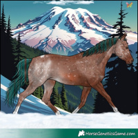 Horse Color:Painted Chestnut Tobiano 