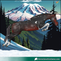 Horse Color:Painted Brown Tobiano 