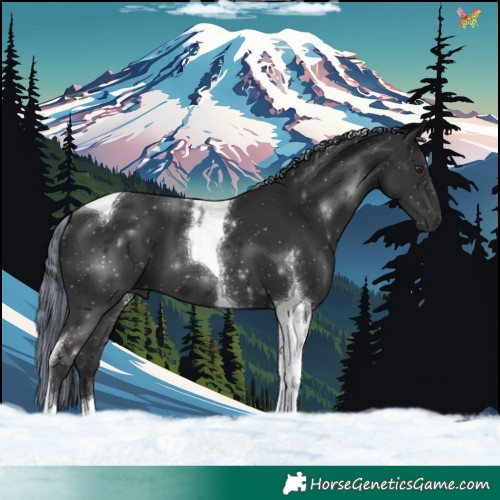 Horse Color:Painted Liver Chestnut Tobiano 