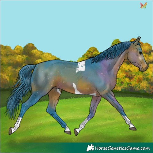 Horse Color:Watercolor Bay Tobiano 