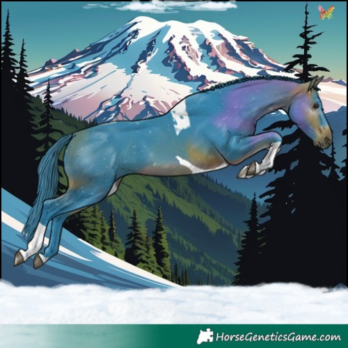 Horse Color:Watercolor Bay Tobiano