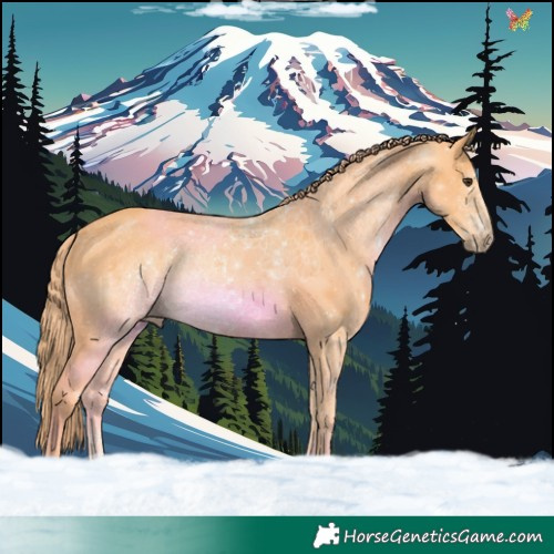 Horse Color:Watercolor White Spotted Chestnut 