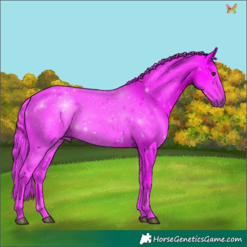 Horse Color:Watercolor White Spotted Liver Chestnut 