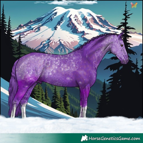 Horse Color:Watercolor White Spotted Liver Chestnut 