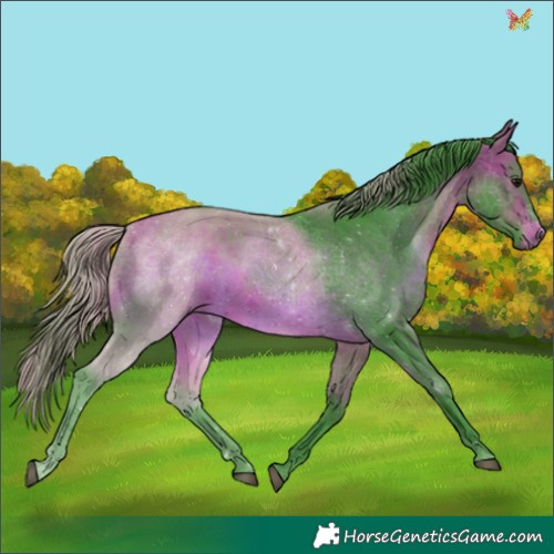 Horse Color:Watercolor White Spotted Bay 