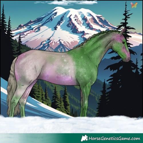 Horse Color:Watercolor White Spotted Bay