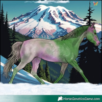 Horse Color:Watercolor White Spotted Bay 