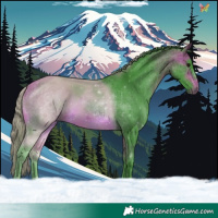 Horse Color:Watercolor White Spotted Bay