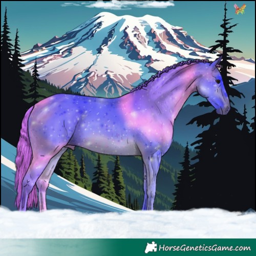 Horse Color:Watercolor White Spotted Bay 