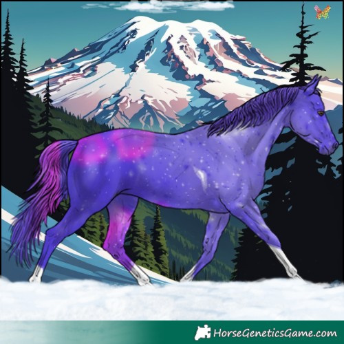 Horse Color:Watercolor Liver Chestnut Tobiano 